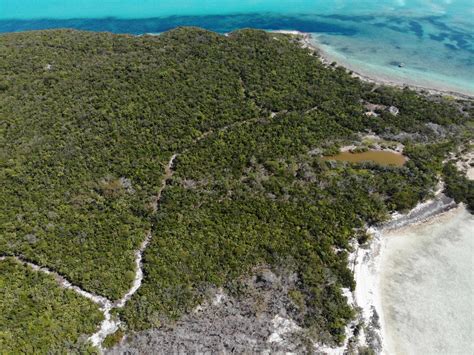 Wild Berry Cay The Berry Islands Bahamas Caribbean Private Islands For Sale