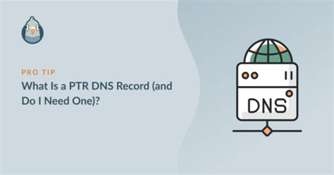 What Is A Ptr Dns Record And Do I Need One