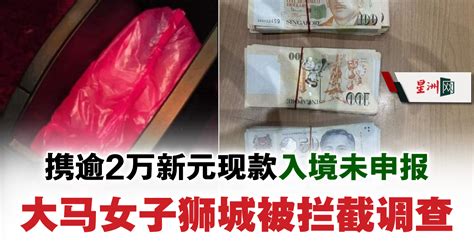 携逾2万新元现款入境未申报 大马女子狮城被拦截调查 地方 狮城二三事