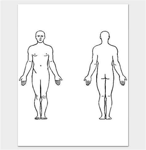 Body Outline Front And Back 11 Printable Worksheet Drawing For Pdf Body Outline Body