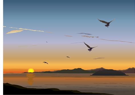 Digital Art Birds Sunset Sea Sunrise Vector Art Bird Seabird