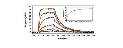 Xantec Bioanalytics Gmbh Products Spr Biosensors Applications Application Note 02 Small