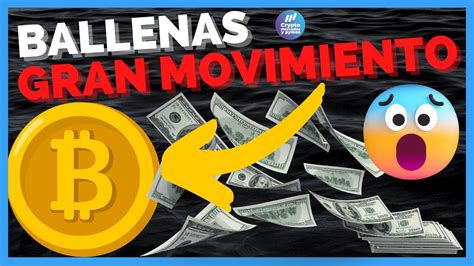 Esto es lo que ballenas están haciendo justo ahora BITCOIN