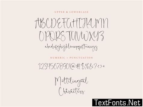 Royals Boutique Script Font Dr3wnxp