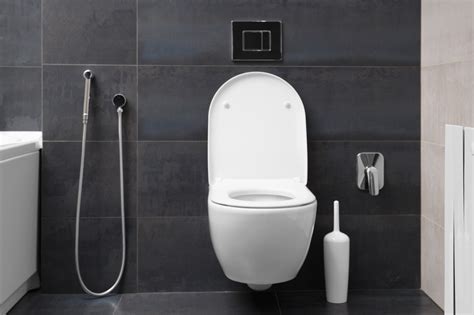 Wc Con Bidet Integrato Come Funziona E Quanto Costa