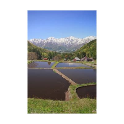 Poster Japon Alpes et rizière de terrasse, village Hakuba Aoni - FR ...