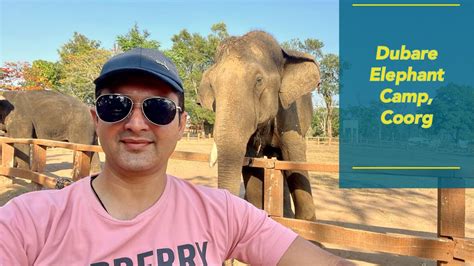 Dubare Elephant Camp Coorg What An Experience YouTube