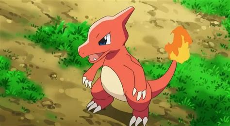 20 Fast Facts About Charmeleon | Pokémon - The Fact Site