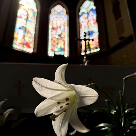 Parish of the Good Shepherd | Fall River MA