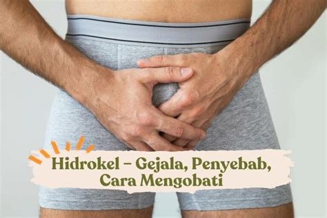 Hidrokel Gejala Penyebab Cara Mengobati