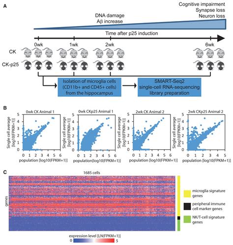 Single Cell Rna Sequencing Of Microglia Cells Isolated From The