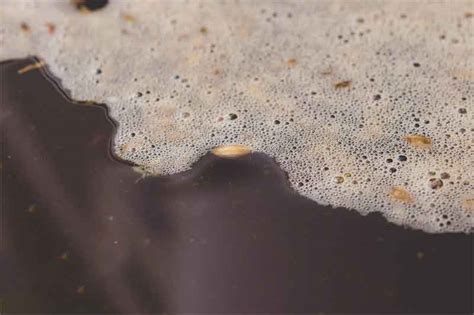 From Novice To Expert Understanding Why Mashing Is Key To Beer Brewing