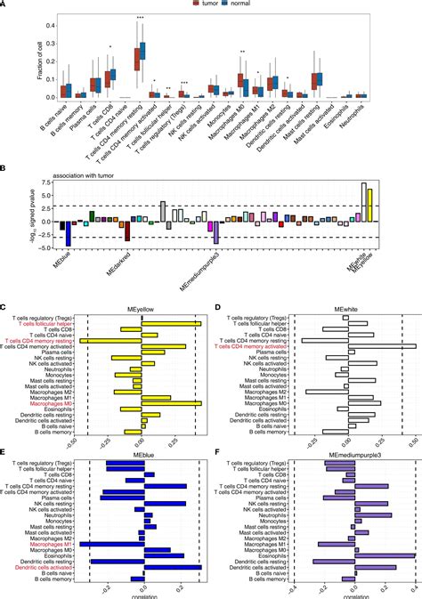 Frontiers Analysis Of Bulk Rna Sequencing Data Reveals Novel