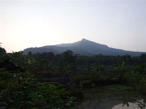 Mount Pulosari | Gunung Bagging