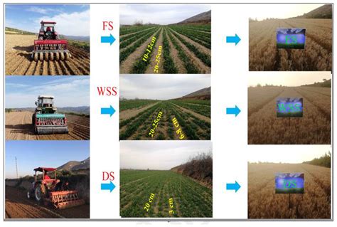 Water Free Full Text Effect Of Different Sowing Methods On Water