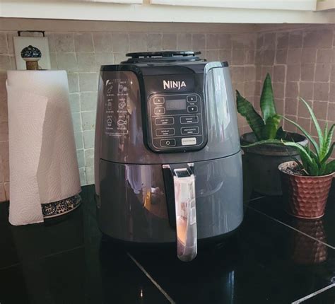 Chef S Ninja Air Fryer Af Review Meals Photos Tastylicious