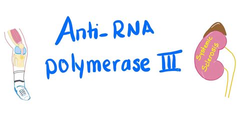 Anti Rna Polymerase Iii Antibodies Scleroderma Aka Systemic Sclerosis Youtube