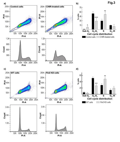 Gsk3 Inhibitor Treatment And Per2 Downregulation Effects On Gbm Cell