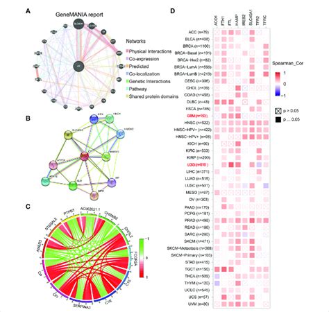 Analysis Of CP Interacting Genes And Proteins A The Gene Gene