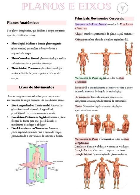 Anatomia Planos E Eixos Como Estudar Anatomia Cinesiologia Curso De