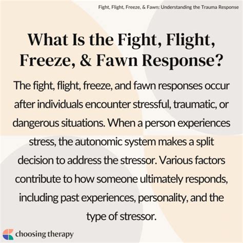 What Is The Fight Flight Freeze And Fawn Response