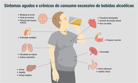 O que o álcool faz no intestino O Contador de Cervejas