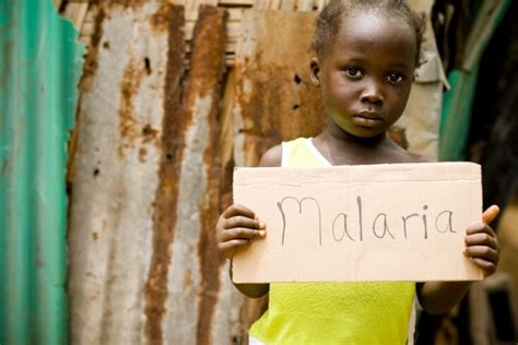 WHO: Time to deliver zero malaria - GHealth News