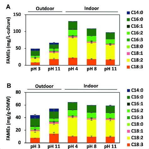 Fame Accumulation In Bx15 Cells Fatty Acid Methyl Esters Fames