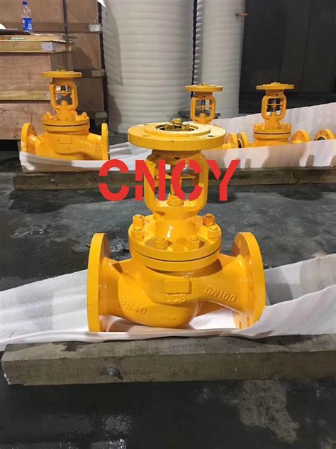 DIN Pn40 DN100 Low Temperature Steel Material SS304 Trim Flange End