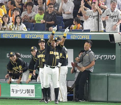 虎の救世主！新助っ人ソラーテがデビュー戦で決勝2ラン 藤川が今季初セーブ 阪神タイガース デイリースポーツ Online