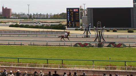 【2024 神戸新聞杯】メイショウタバル＆サンライズアース参戦！中京開催の影響は出走馬＆騎手一覧 競馬ジャッジ