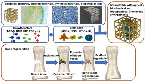 Current Biomaterial Based Bone Tissue Engineering And Translational