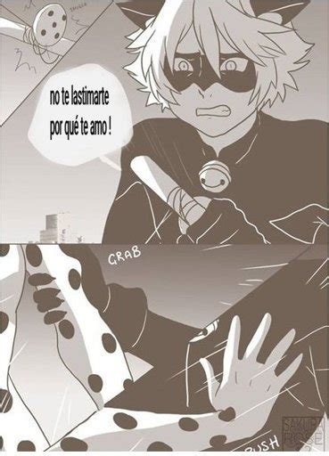 Comic Ladynoir 8 •miraculous Ladybug Español• Amino