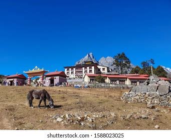 349 Sherpa Monastery Images Stock Photos 3D Objects Vectors