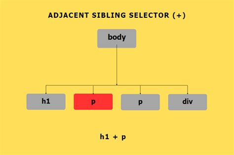 The Top CSS Sibling Selectors Explained