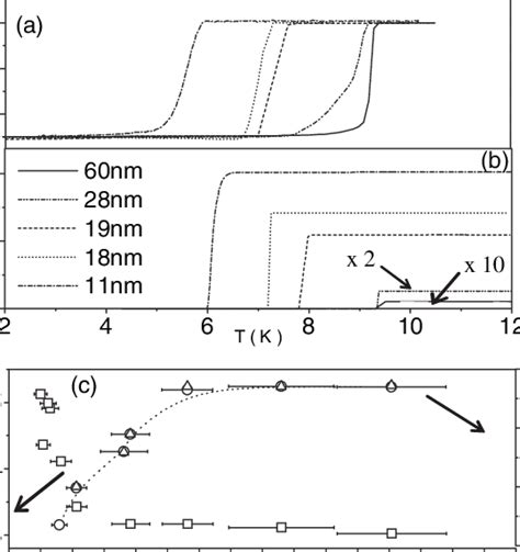 Temperature Dependence Of A Magnetic Susceptibility Mh And B