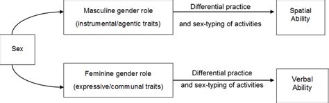 Nash’s 1979 Sex Role Mediation Theory Of Cognitive Abilities Download Scientific Diagram