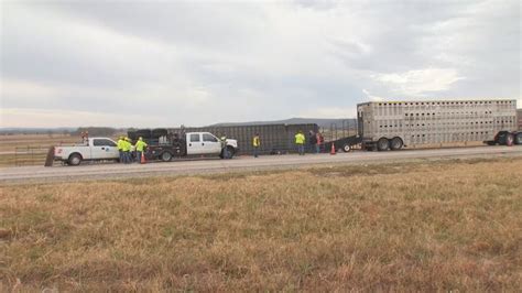 Crews Free Trapped Calves After Semi Overturns Along I 40 Near Henryetta