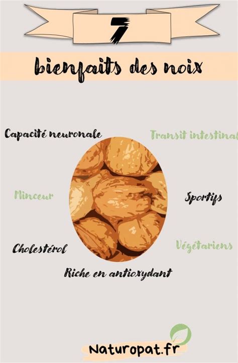 Les Bienfaits Des Noix Naturopat Fr