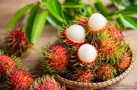 Kenali Buah Tropis Indonesia Yang Penuh Nutrisi Dan Kesehatan