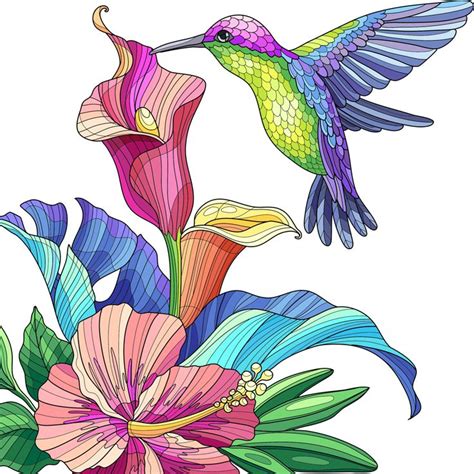 Pin By Leonor Marquez On Favoryt Colors Humming Bird Art