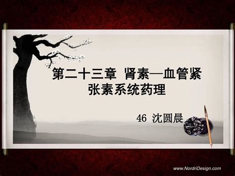 药理学 第二十三章肾素 血管紧张素系统ras药理修正版word文档在线阅读与下载免费文档