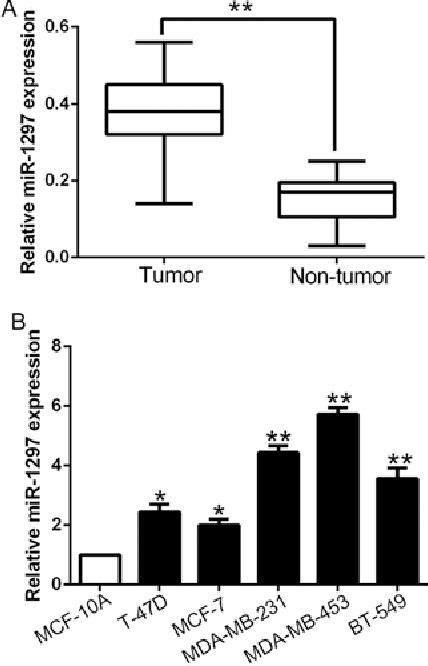 Figure 1 From Microrna 1297 Contributes To Tumor Growth Of Human Breast