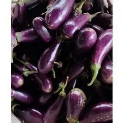 Brinjal Eggplant Wholesaler Wholesale Dealers In India