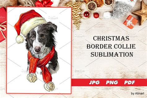 Christmas Border Collie Illustration