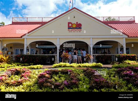 Dole Pineapple Plantation on Oahu, Hawaii Stock Photo - Alamy