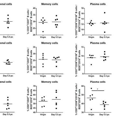 B Cell Subsets In The Para Aortic Lymph Nodes And Uterus Are Altered