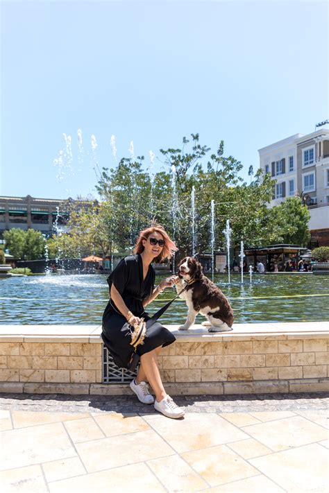 Shop, Dine, and Unwind at the Dog-Friendly Americana at Brand in ...