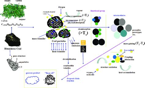 Schematic Diagram Of Low Temperature Oxidation And Coal Oxygen Coupling