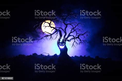 Silhouette Of Scary Halloween Tree With Horror Face On Dark Foggy Toned